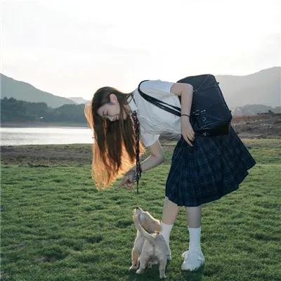 歌舞飞扬